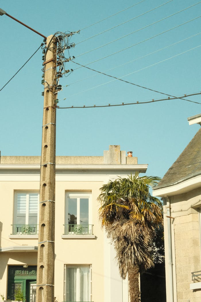 Suburban street view featuring power lines, a palm tree, and sunny houses.